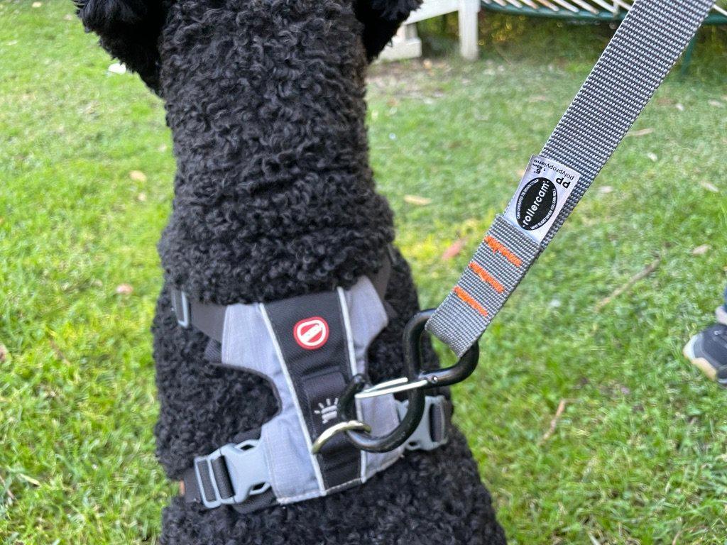 Rollercam® Standard Duty Hook End (25mm ) - Weston Works