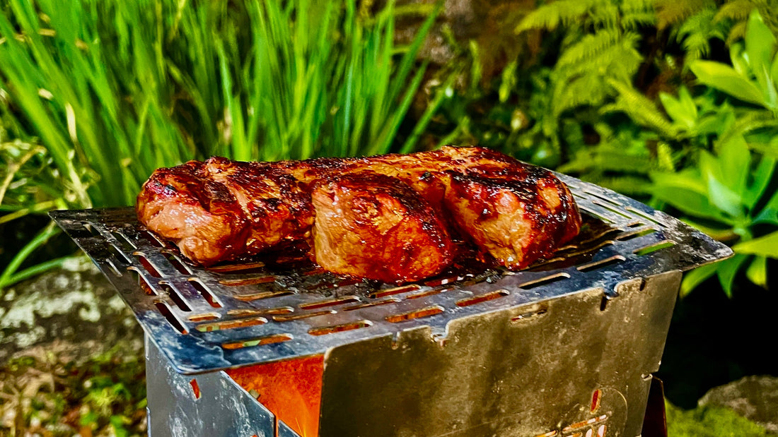 Firebox G2 5″ Folding Stove – The Ultimate Compact Campfire for Aussie Adventures