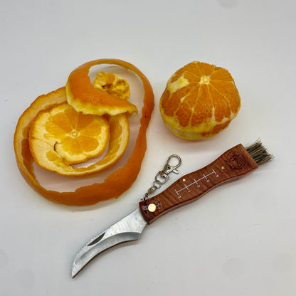 Cooka Cut'a (Mushroom Field Paring Knife with Brush)