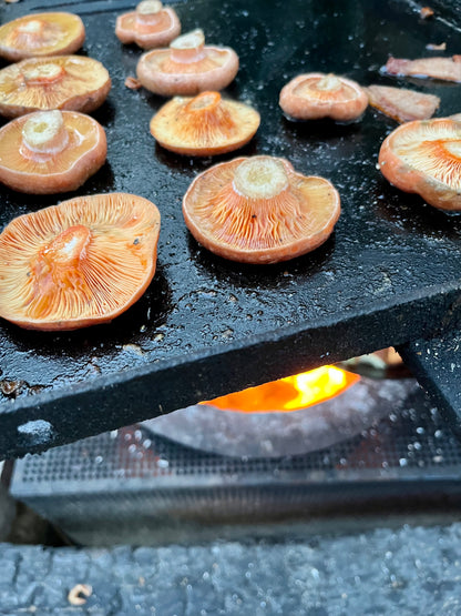 Cooka Cut'a (Mushroom Field Paring Knife with Brush)